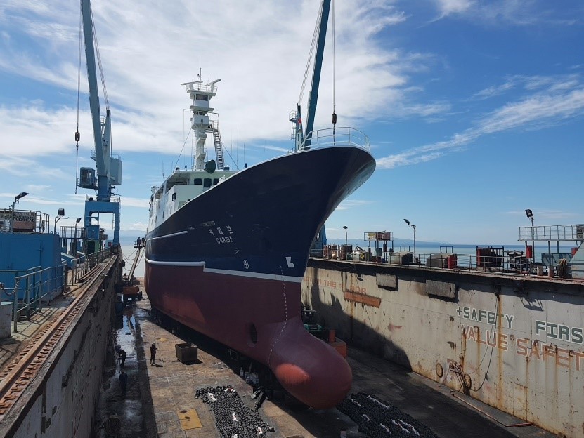 FV caribe